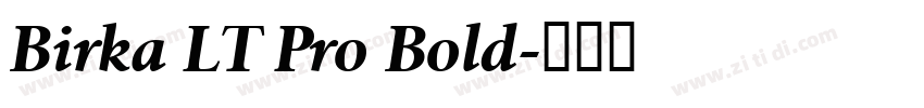 Birka LT Pro Bold字体转换